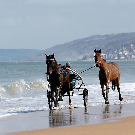 Le Nid De Plage A 100 M De La Mer Кабур Екстериор снимка